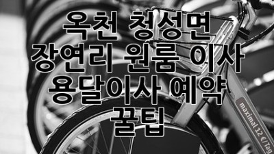 옥천 청성면 장연리 원룸 이사, 용달이사 예약 꿀팁!
