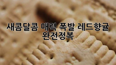 ✨ 새콤달콤 매력 폭발! 레드향귤 완전정복🍊