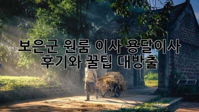 보은군 원룸 이사? 용달이사 후기와 꿀팁 대방출!