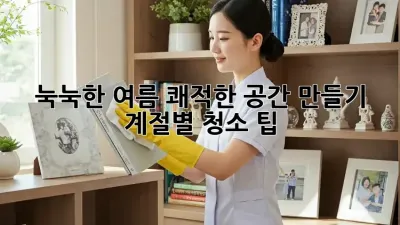 눅눅한 여름, 쾌적한 공간 만들기: 계절별 청소 팁